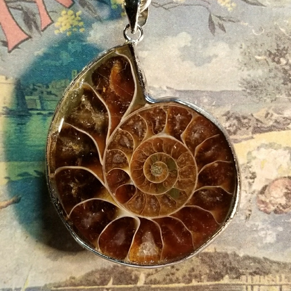 #0195 Ammonite Fossil Pendant